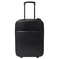 Louis Vuitton Ardoise Taiga Leather Pegase Cabin bag