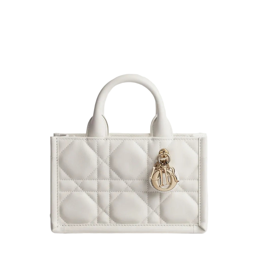 Dior Mini Book Tote Bag