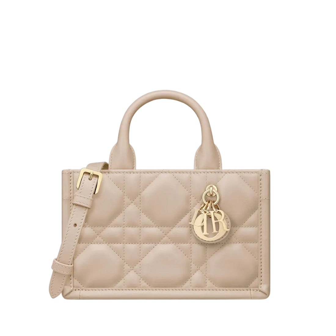 Dior Mini Book Tote Bag