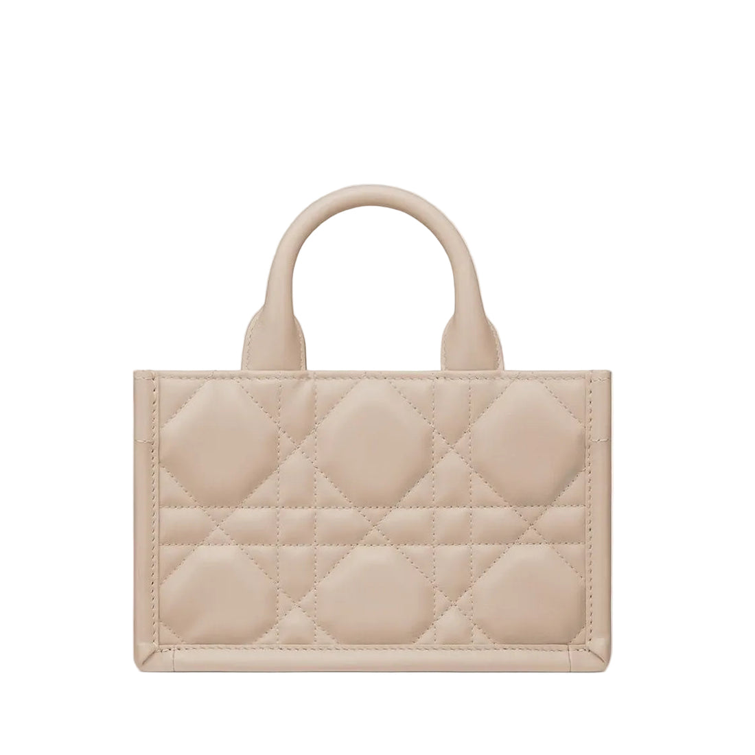 Dior Mini Book Tote Bag