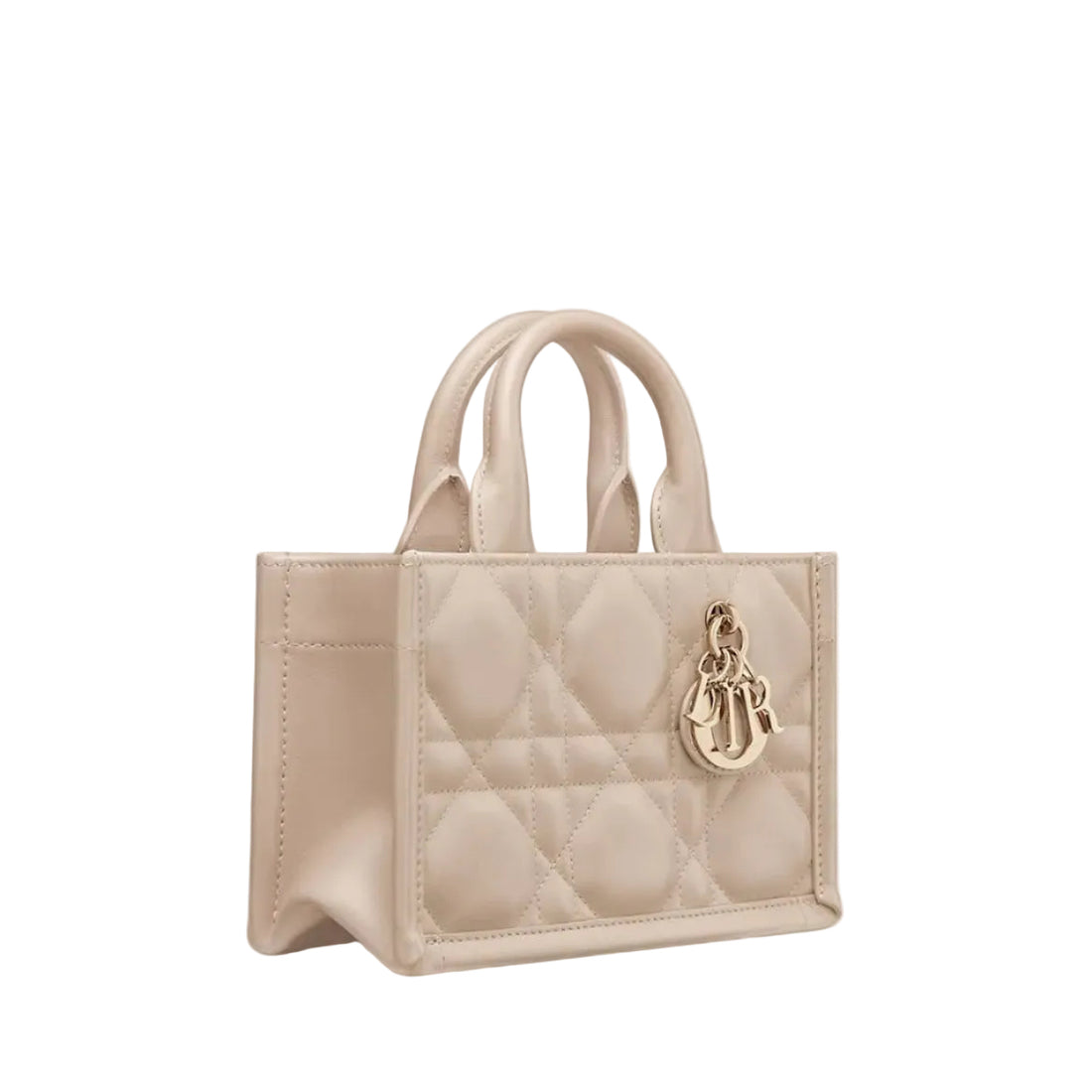 Dior Mini Book Tote Bag