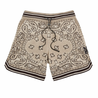 Amiri Bandana Embroidery Shorts