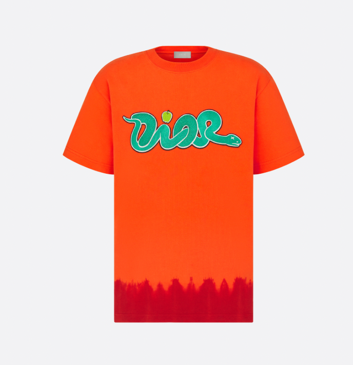 Dior x KAWS Logo Embroidery T-Shirt
