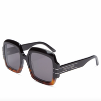 Dior Signature S1U Sunglasses