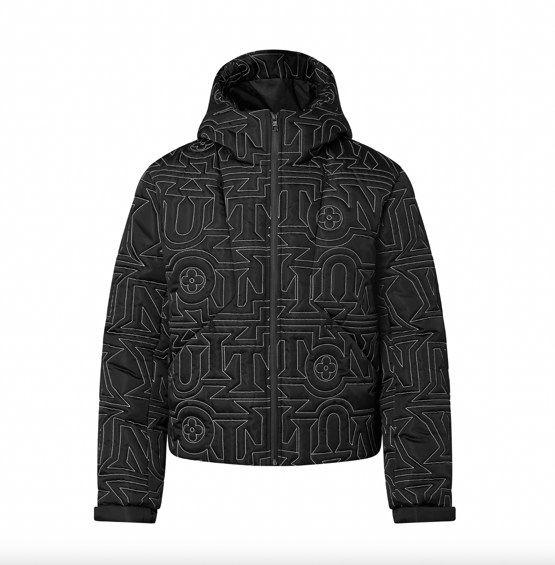 Louis Vuitton Snow Down Jacket