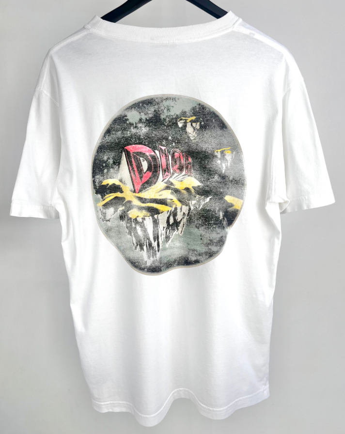 Dior Asterdior Logo T-Shirt