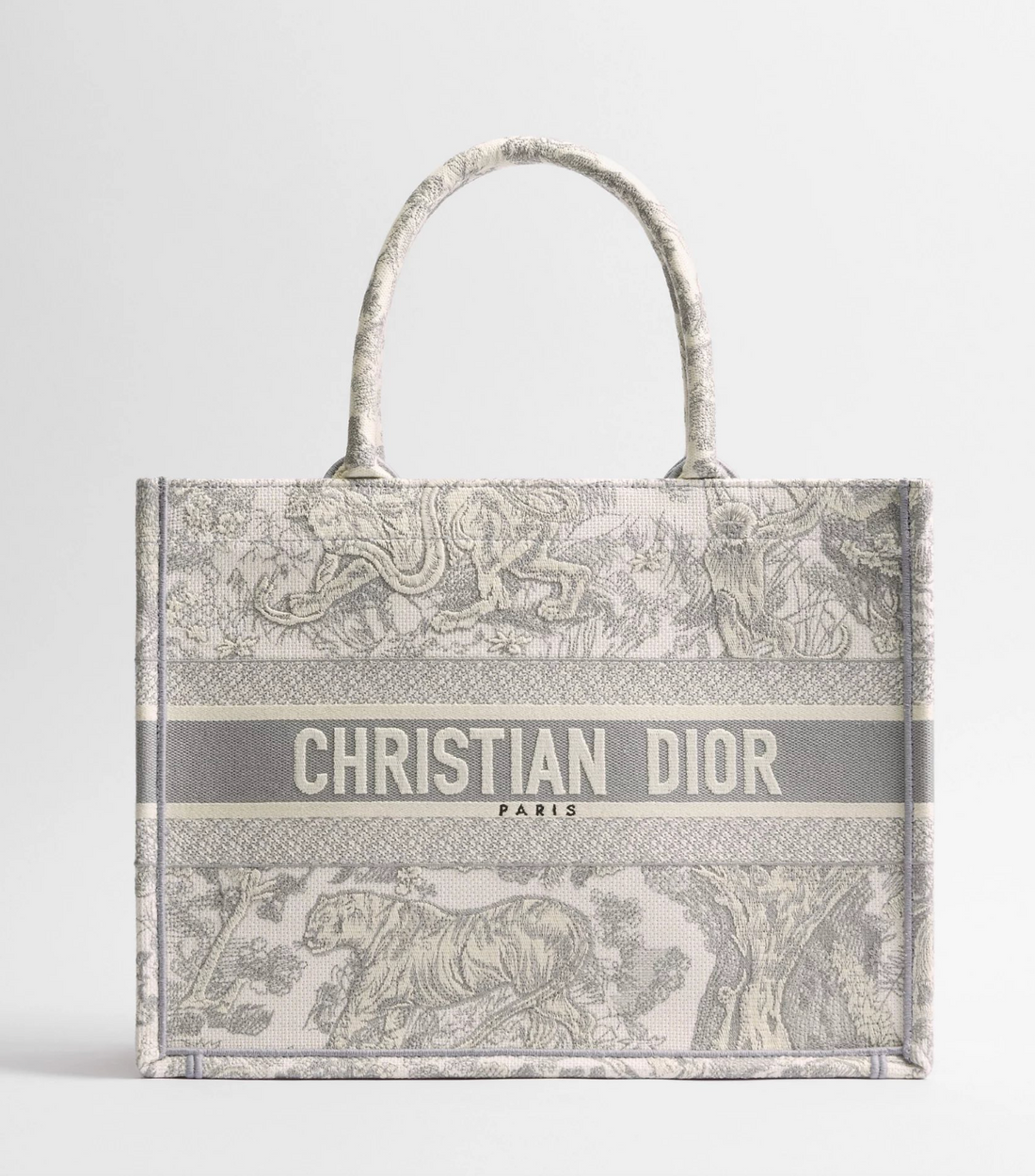 Dior Book Tote Bag Medium