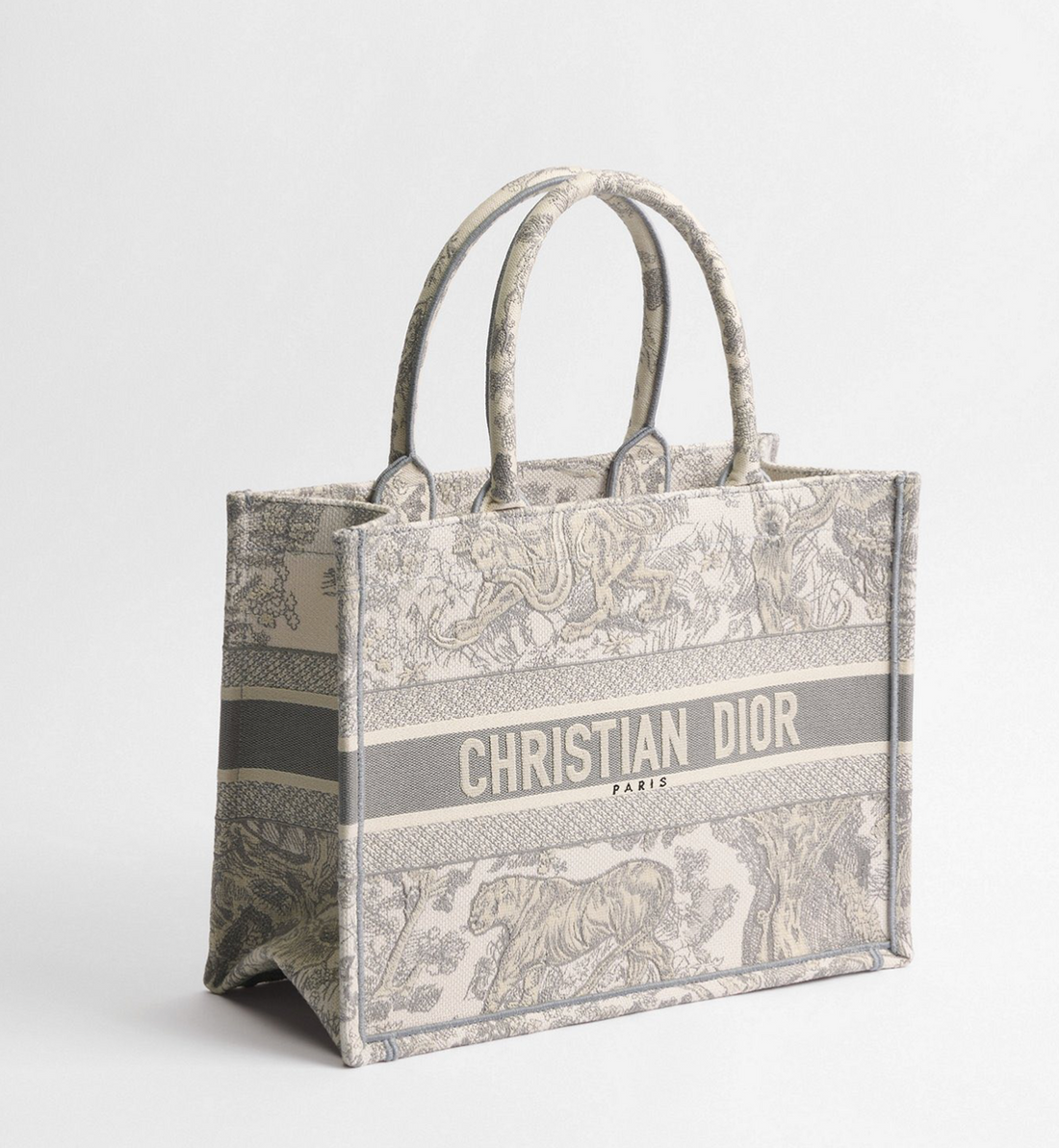 Dior Book Tote Bag Medium