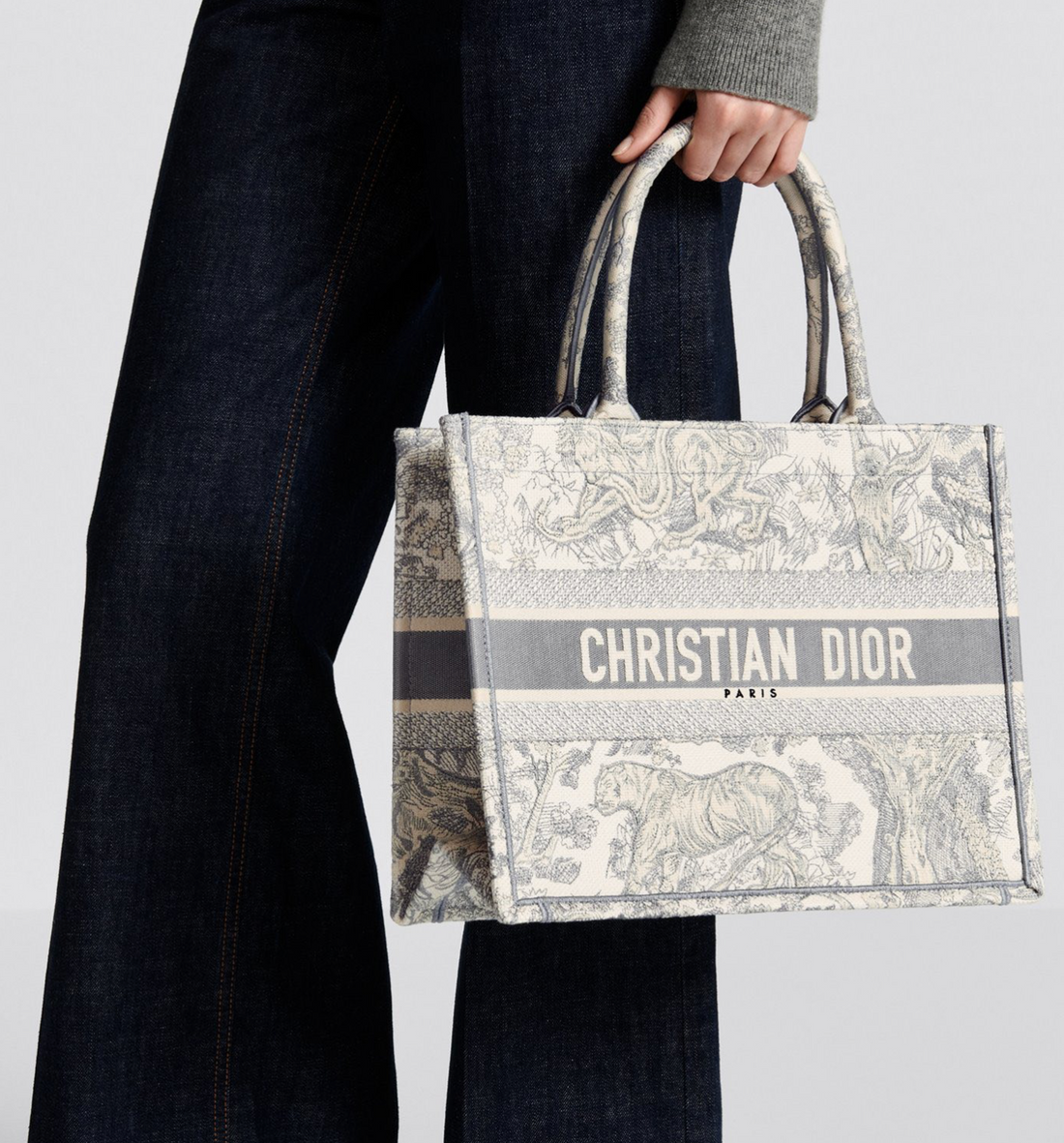 Dior Book Tote Bag Medium