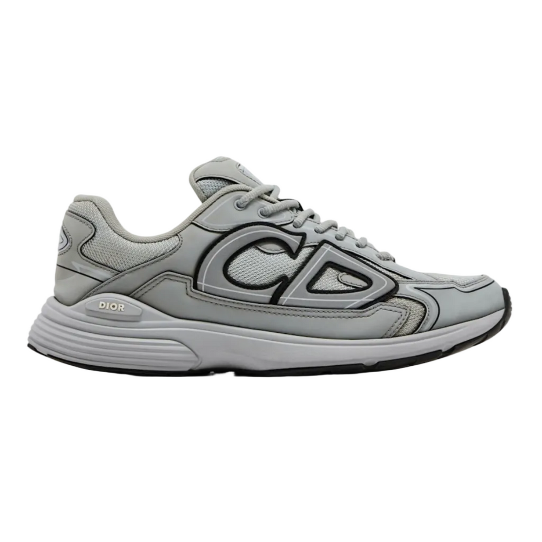 Dior B30 Low Top Sneaker