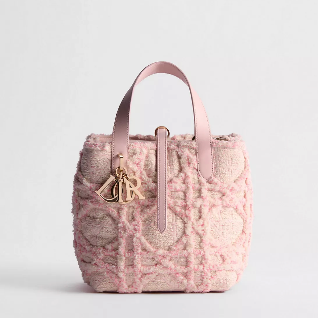 Dior Small Toujours Vertical Tote Bag