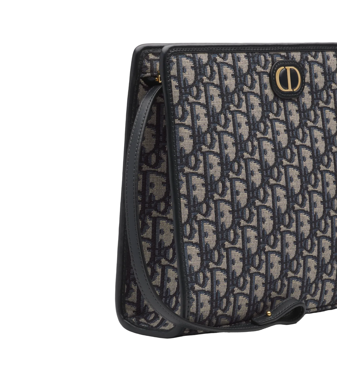 Dior 30 Montaigne Oblique Pouch