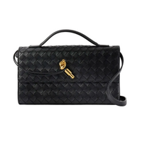 Bottega Veneta Andiamo 25 Clutch Bag