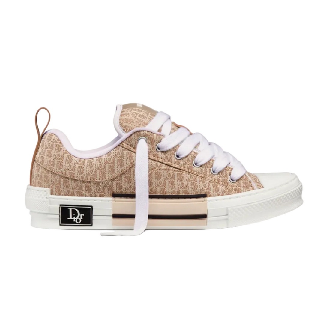 Dior B23 Oblique Skate Sneaker