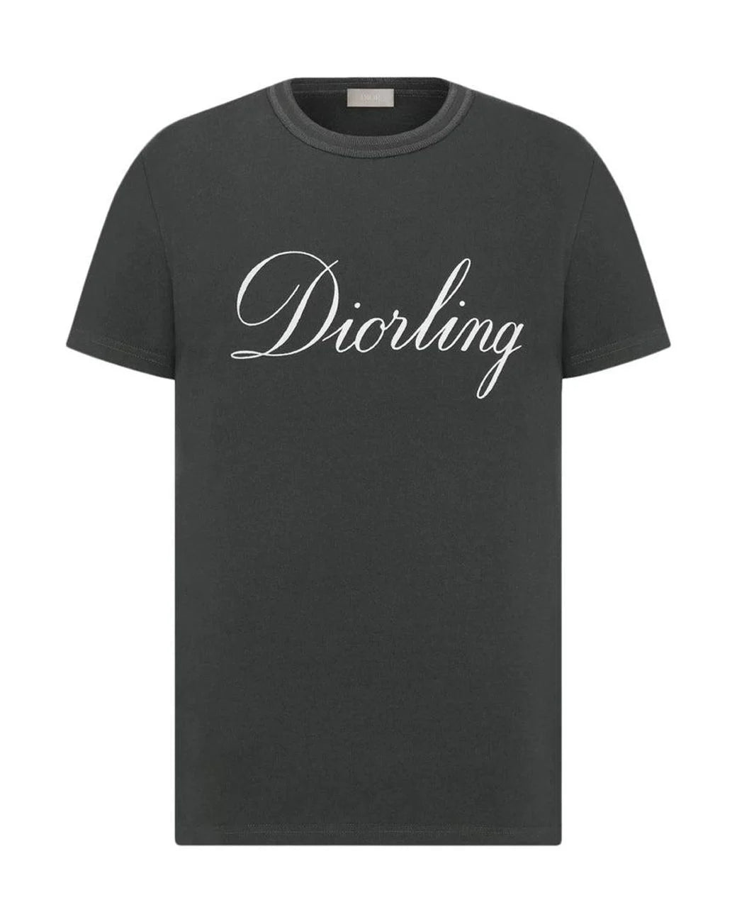 Dior Diorling Logo T-Shirt