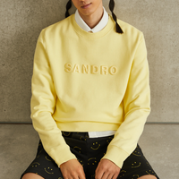 Sandro Paris Embroidered Sweatshirt